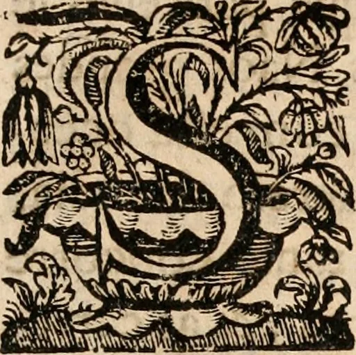 An illustration from Noticias de Portugal, offerecidas a el rey N.S. Dom Ioao o IV, 1655, leaf 256