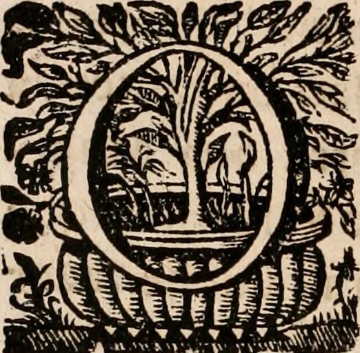 An illustration from Noticias de Portugal, offerecidas a el rey N.S. Dom Ioao o IV, 1655, leaf 263