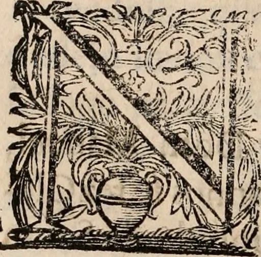 An illustration from Noticias de Portugal, offerecidas a el rey N.S. Dom Ioao o IV, 1655, leaf 293