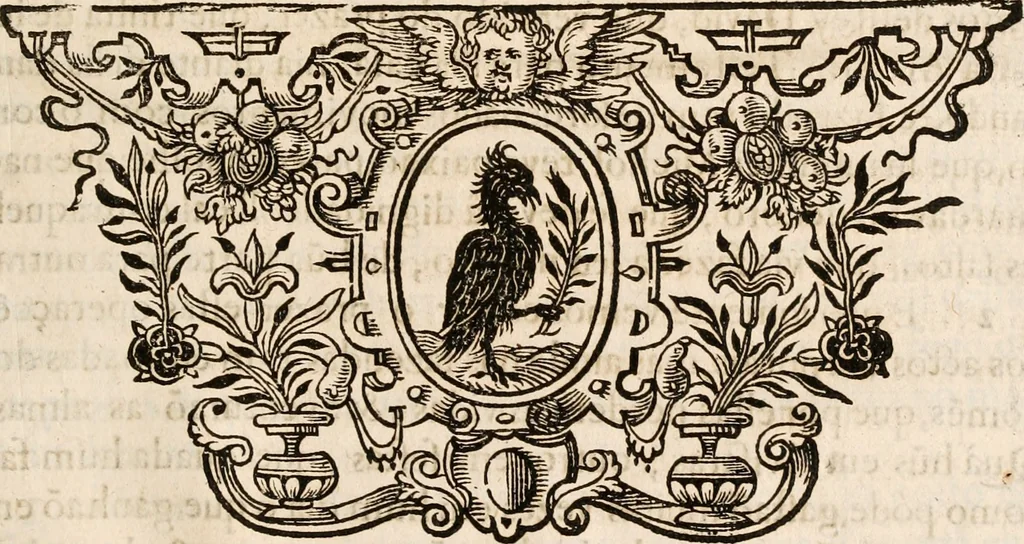 An illustration from Noticias de Portugal, offerecidas a el rey N.S. Dom Ioao o IV, 1655, leaf 320