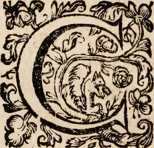 An illustration from Noticias de Portugal, offerecidas a el rey N.S. Dom Ioao o IV, 1655, leaf 321