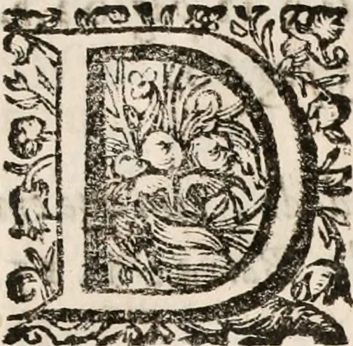 An illustration from Noticias de Portugal, offerecidas a el rey N.S. Dom Ioao o IV, 1655, leaf 358