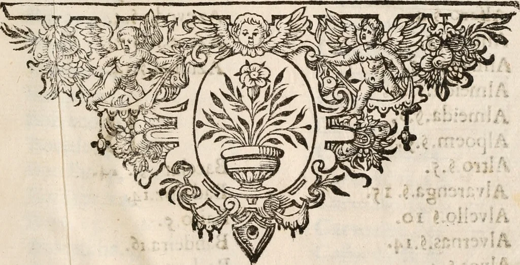 An illustration from Noticias de Portugal, offerecidas a el rey N.S. Dom Ioao o IV, 1655, leaf 364