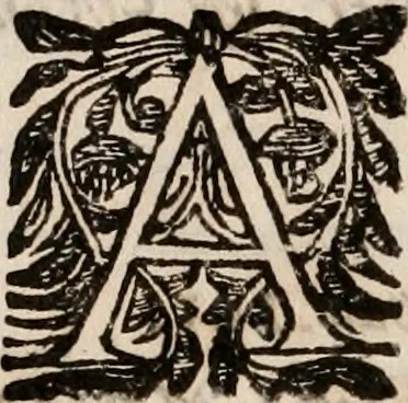An illustration from Noticias de Portugal, offerecidas a el rey N.S. Dom Ioao o IV, 1655, leaf 365