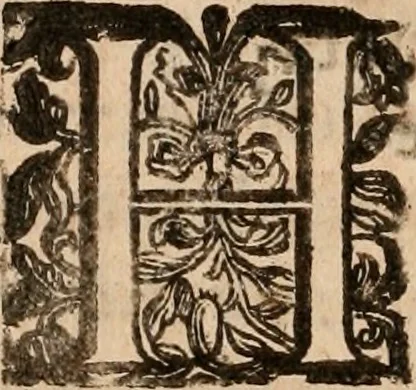An illustration from Noticias de Portugal, offerecidas a el rey N.S. Dom Ioao o IV, 1655, leaf 49