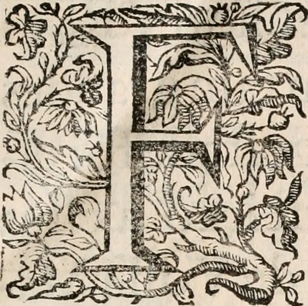 An illustration from Noticias de Portugal, offerecidas a el rey N.S. Dom Ioao o IV, 1655, leaf 8