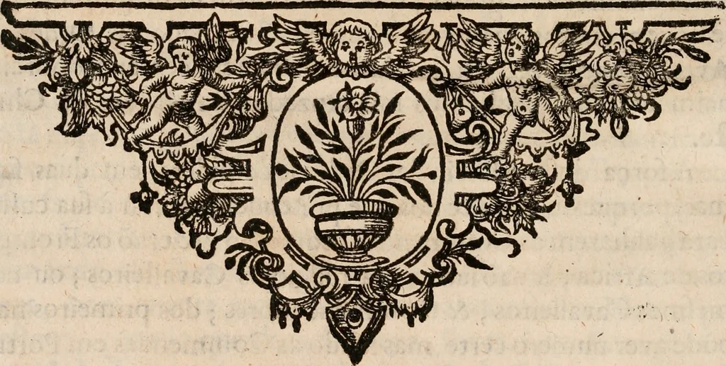 An illustration from Noticias de Portugal, offerecidas a el rey N.S. Dom Ioao o IV, 1655, leaf 99