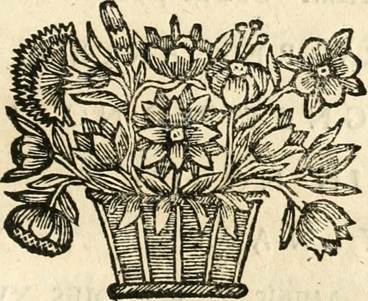 An illustration from Noticias historiales de la enfermedad, muerte, y exsequias de la esclarecida reyna de las Españas doña Maria Luisa de Orleans, Borbon Stuart y Austria, nuestra señora, dignissima consorte del rey nuestro señor Don Carlos segundo de Austria, 1690, leaf 180