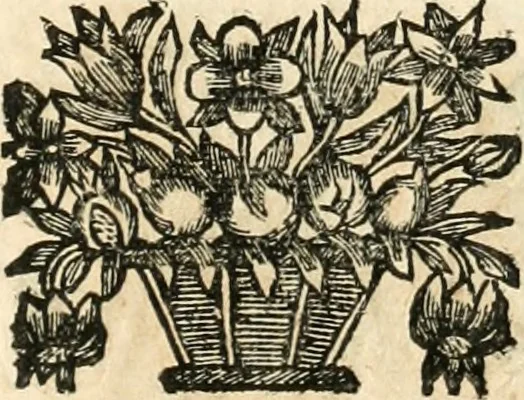 An illustration from Noticias historiales de la enfermedad, muerte, y exsequias de la esclarecida reyna de las Españas doña Maria Luisa de Orleans, Borbon Stuart y Austria, nuestra señora, dignissima consorte del rey nuestro señor Don Carlos segundo de Austria, 1690, leaf 184