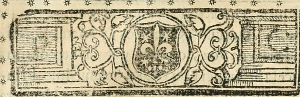 An illustration from Noticias historiales de la enfermedad, muerte, y exsequias de la esclarecida reyna de las Españas doña Maria Luisa de Orleans, Borbon Stuart y Austria, nuestra señora, dignissima consorte del rey nuestro señor Don Carlos segundo de Austria, 1690, leaf 20