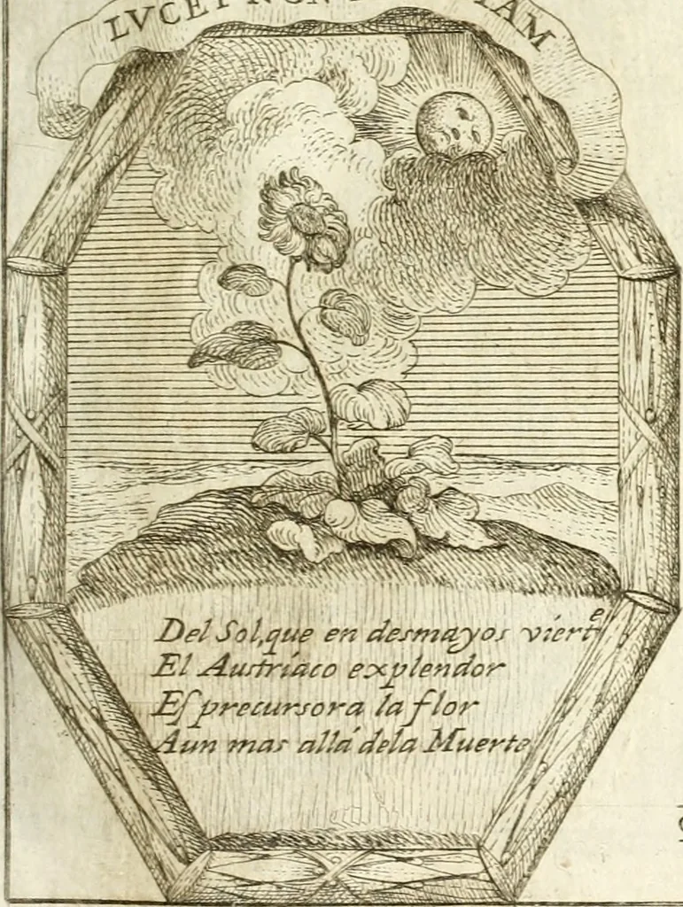 An illustration from Noticias historiales de la enfermedad, muerte, y exsequias de la esclarecida reyna de las Españas doña Maria Luisa de Orleans, Borbon Stuart y Austria, nuestra señora, dignissima consorte del rey nuestro señor Don Carlos segundo de Austria, 1690, leaf 214