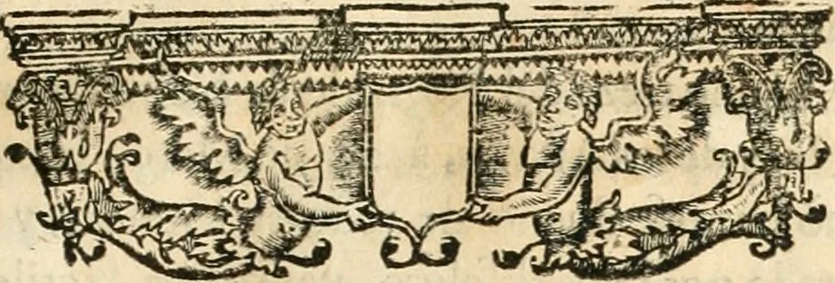 An illustration from Noticias historiales de la enfermedad, muerte, y exsequias de la esclarecida reyna de las Españas doña Maria Luisa de Orleans, Borbon Stuart y Austria, nuestra señora, dignissima consorte del rey nuestro señor Don Carlos segundo de Austria, 1690, leaf 224