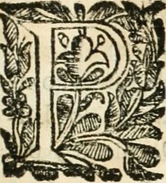 An illustration from Noticias historiales de la enfermedad, muerte, y exsequias de la esclarecida reyna de las Españas doña Maria Luisa de Orleans, Borbon Stuart y Austria, nuestra señora, dignissima consorte del rey nuestro señor Don Carlos segundo de Austria, 1690, leaf 224