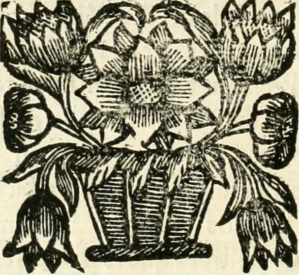 An illustration from Noticias historiales de la enfermedad, muerte, y exsequias de la esclarecida reyna de las Españas doña Maria Luisa de Orleans, Borbon Stuart y Austria, nuestra señora, dignissima consorte del rey nuestro señor Don Carlos segundo de Austria, 1690, leaf 261