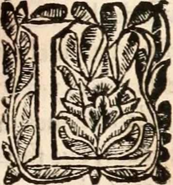 An illustration from Noticias historiales de la enfermedad, muerte, y exsequias de la esclarecida reyna de las Españas doña Maria Luisa de Orleans, Borbon Stuart y Austria, nuestra señora, dignissima consorte del rey nuestro señor Don Carlos segundo de Austria, 1690, leaf 44
