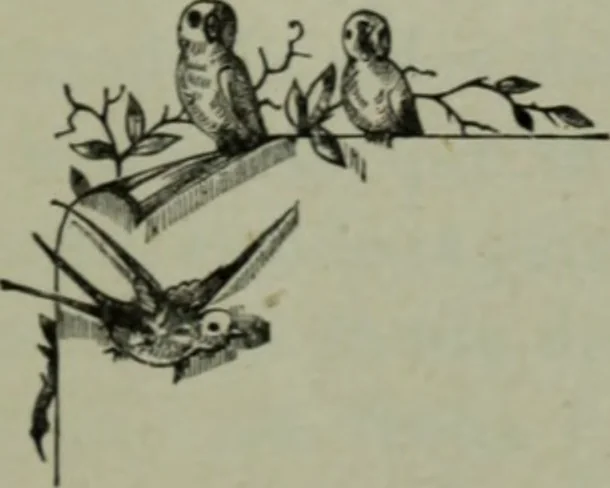 An illustration from Noticias historicas, 1889, leaf 114
