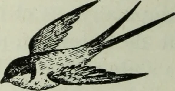 An illustration from Noticias historicas, 1889, leaf 33