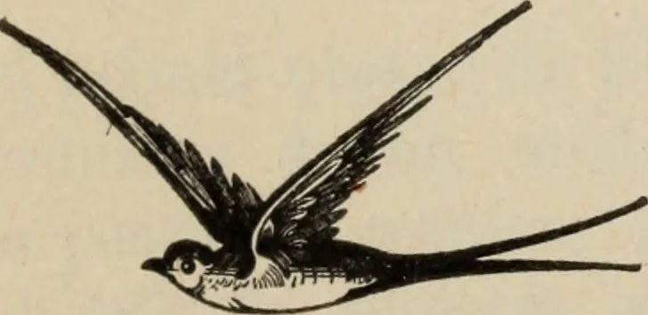 An illustration from Noticias historicas, 1889, leaf 128