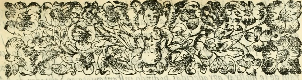 An illustration from Noticias summarias das perseguições da missam de Cochinchina, principiada, & continuada pelos padres da Companhia de Jesu .., 1700, leaf 10