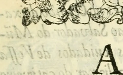 An illustration from Noticias summarias das perseguições da missam de Cochinchina, principiada, & continuada pelos padres da Companhia de Jesu .., 1700, leaf 10