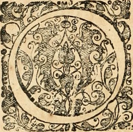 An illustration from Noticias summarias das perseguições da missam de Cochinchina, principiada, & continuada pelos padres da Companhia de Jesu .., 1700, leaf 115