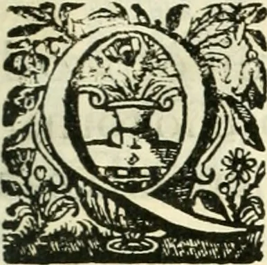 An illustration from Noticias summarias das perseguições da missam de Cochinchina, principiada, & continuada pelos padres da Companhia de Jesu .., 1700, leaf 12