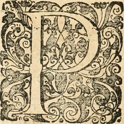 An illustration from Noticias summarias das perseguições da missam de Cochinchina, principiada, & continuada pelos padres da Companhia de Jesu .., 1700, leaf 133