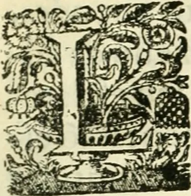 An illustration from Noticias summarias das perseguições da missam de Cochinchina, principiada, & continuada pelos padres da Companhia de Jesu .., 1700, leaf 14