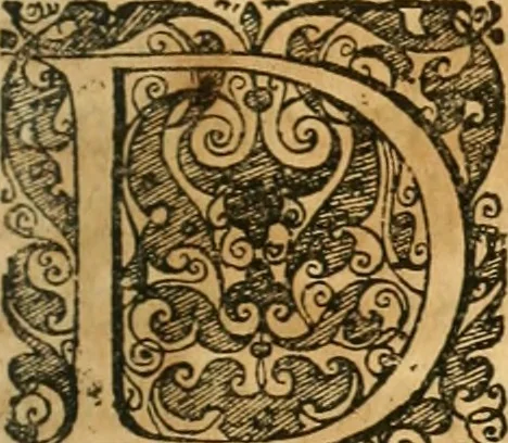 An illustration from Noticias summarias das perseguições da missam de Cochinchina, principiada, & continuada pelos padres da Companhia de Jesu .., 1700, leaf 156