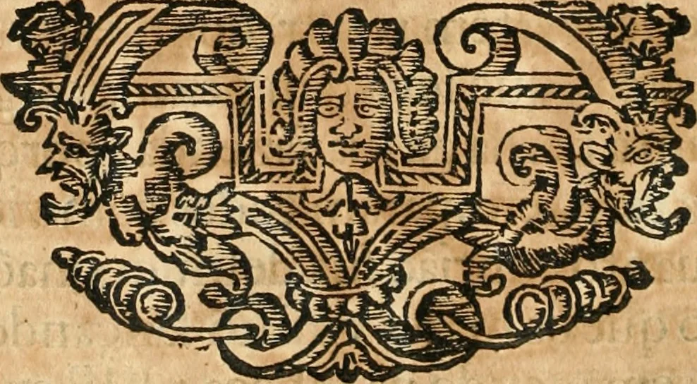 An illustration from Noticias summarias das perseguições da missam de Cochinchina, principiada, & continuada pelos padres da Companhia de Jesu .., 1700, leaf 161