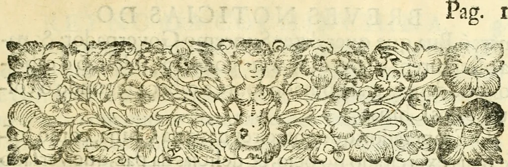 An illustration from Noticias summarias das perseguições da missam de Cochinchina, principiada, & continuada pelos padres da Companhia de Jesu .., 1700, leaf 18