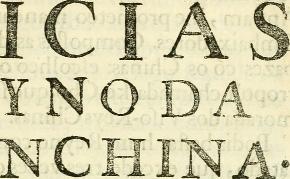 An illustration from Noticias summarias das perseguições da missam de Cochinchina, principiada, & continuada pelos padres da Companhia de Jesu .., 1700, leaf 18