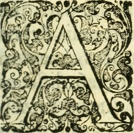 An illustration from Noticias summarias das perseguições da missam de Cochinchina, principiada, & continuada pelos padres da Companhia de Jesu .., 1700, leaf 228