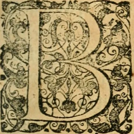 An illustration from Noticias summarias das perseguições da missam de Cochinchina, principiada, & continuada pelos padres da Companhia de Jesu .., 1700, leaf 238