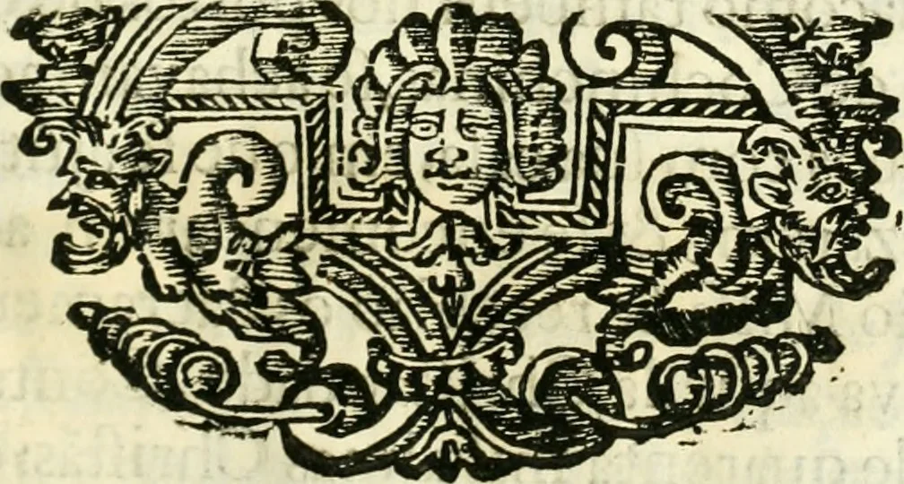 An illustration from Noticias summarias das perseguições da missam de Cochinchina, principiada, & continuada pelos padres da Companhia de Jesu .., 1700, leaf 246