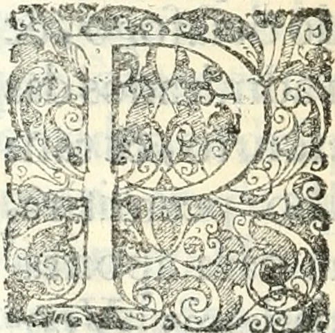 An illustration from Noticias summarias das perseguições da missam de Cochinchina, principiada, & continuada pelos padres da Companhia de Jesu .., 1700, leaf 269