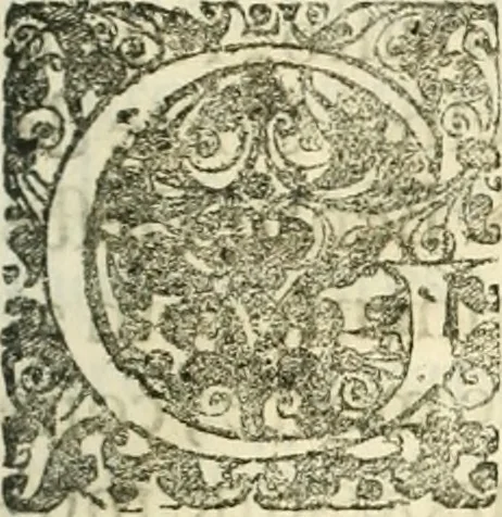 An illustration from Noticias summarias das perseguições da missam de Cochinchina, principiada, & continuada pelos padres da Companhia de Jesu .., 1700, leaf 296