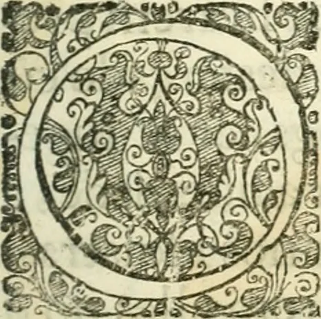 An illustration from Noticias summarias das perseguições da missam de Cochinchina, principiada, & continuada pelos padres da Companhia de Jesu .., 1700, leaf 302