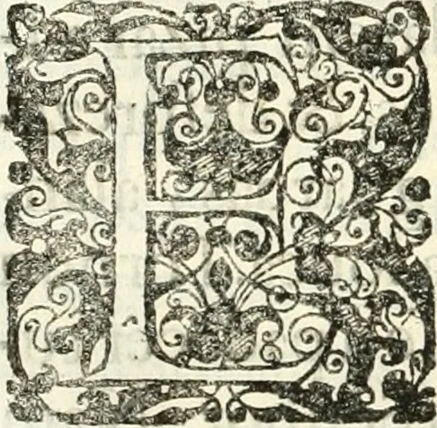 An illustration from Noticias summarias das perseguições da missam de Cochinchina, principiada, & continuada pelos padres da Companhia de Jesu .., 1700, leaf 315