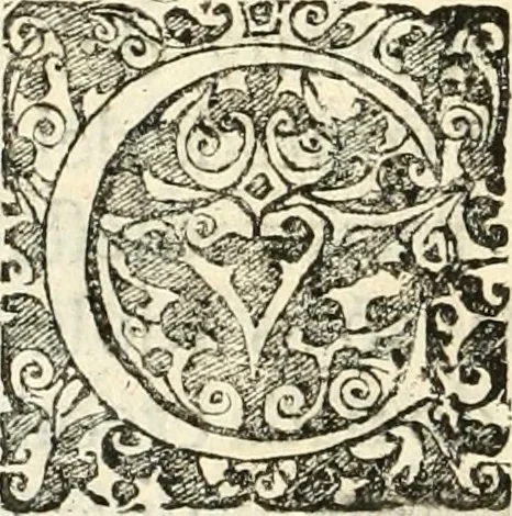 An illustration from Noticias summarias das perseguições da missam de Cochinchina, principiada, & continuada pelos padres da Companhia de Jesu .., 1700, leaf 363