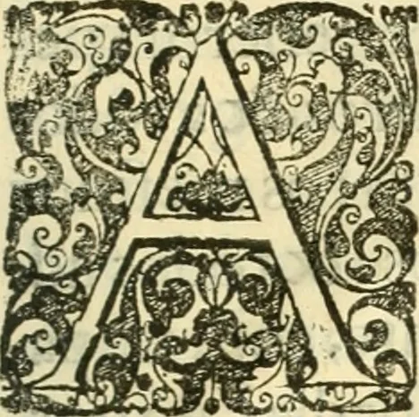 An illustration from Noticias summarias das perseguições da missam de Cochinchina, principiada, & continuada pelos padres da Companhia de Jesu .., 1700, leaf 468