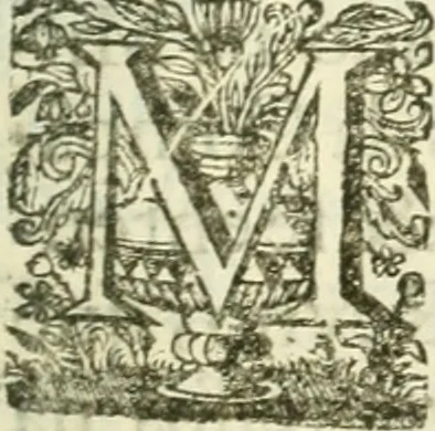 An illustration from Noticias summarias das perseguições da missam de Cochinchina, principiada, & continuada pelos padres da Companhia de Jesu .., 1700, leaf 476