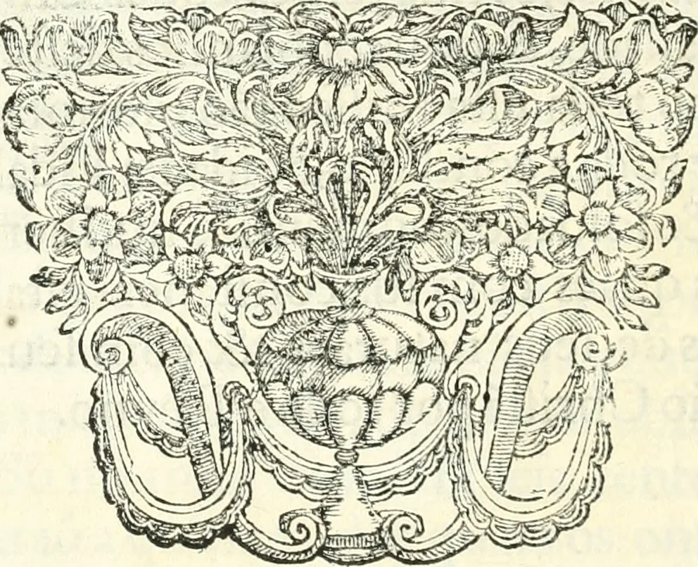 An illustration from Noticias summarias das perseguições da missam de Cochinchina, principiada, & continuada pelos padres da Companhia de Jesu .., 1700, leaf 479