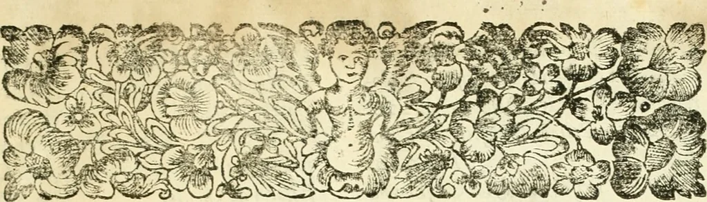An illustration from Noticias summarias das perseguições da missam de Cochinchina, principiada, & continuada pelos padres da Companhia de Jesu .., 1700, leaf 480