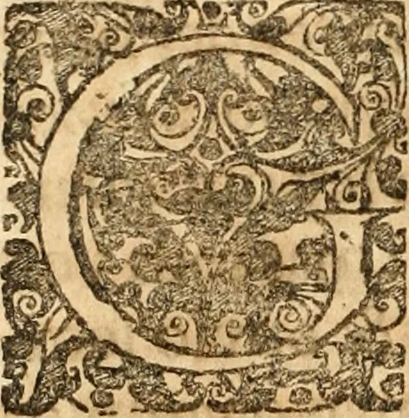 An illustration from Noticias summarias das perseguições da missam de Cochinchina, principiada, & continuada pelos padres da Companhia de Jesu .., 1700, leaf 73