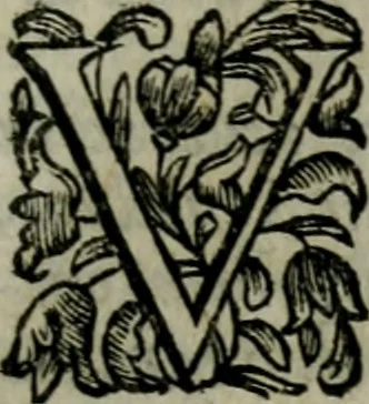 An illustration from Notitia conciliorvm sanctae ecclesiae : in qua elucidantur exactissimè tùm sacri Canones, tùm veteres, nouique Ecclesiae Ritus, tùm praecipuae partes Ecclesiasticae Historiae, 1669, leaf 302