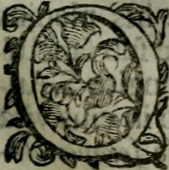 An illustration from Notitia conciliorvm sanctae ecclesiae : in qua elucidantur exactissimè tùm sacri Canones, tùm veteres, nouique Ecclesiae Ritus, tùm praecipuae partes Ecclesiasticae Historiae, 1669, leaf 320