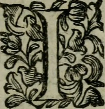 An illustration from Notitia conciliorvm sanctae ecclesiae : in qua elucidantur exactissimè tùm sacri Canones, tùm veteres, nouique Ecclesiae Ritus, tùm praecipuae partes Ecclesiasticae Historiae, 1669, leaf 480