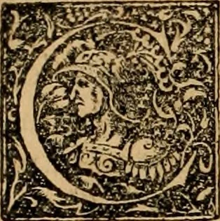 An illustration from Notitia vtraqve cvm orientis tvm occidentis vltra Arcadii Honoriiqve Cæsarvm tempora, illustre uetustatis monumentum, imò thesaurus prorsum incomparabilis : Præcedit aute D. Andreæ Alciati libellus, De magistratib. ciuilibusq; ac militaribus officijs, partim ex hac ipsa Notitia, partim aliunde desumptus : cvi succedit Descriptio urbis Romæ, quæ sub titulo Pub. Victoris circumfertur : & altera urbis Constantinopolitanæ incerto autore, nunquã antehac typis excusa, imperialium uidelicet ac primariaru sedium utriusq reipub : svbiungitur Notitiis uetustus liber De rebvs bellicis ad Theodosium Aug & filios eius Arcadium atq; Honorium, ut uidetur, scriptus incerto autore : item, ne quid de antiquo exemplari omitteretur, Disputatio Adriani Aug. & Epicteti philosophi, 1552, leaf 13