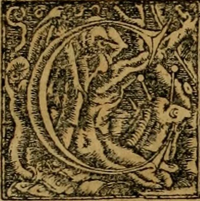 An illustration from Notitia vtraqve cvm orientis tvm occidentis vltra Arcadii Honoriiqve Cæsarvm tempora, illustre uetustatis monumentum, imò thesaurus prorsum incomparabilis : Præcedit aute D. Andreæ Alciati libellus, De magistratib. ciuilibusq; ac militaribus officijs, partim ex hac ipsa Notitia, partim aliunde desumptus : cvi succedit Descriptio urbis Romæ, quæ sub titulo Pub. Victoris circumfertur : & altera urbis Constantinopolitanæ incerto autore, nunquã antehac typis excusa, imperialium uidelicet ac primariaru sedium utriusq reipub : svbiungitur Notitiis uetustus liber De rebvs bellicis ad Theodosium Aug & filios eius Arcadium atq; Honorium, ut uidetur, scriptus incerto autore : item, ne quid de antiquo exemplari omitteretur, Disputatio Adriani Aug. & Epicteti philosophi, 1552, leaf 14